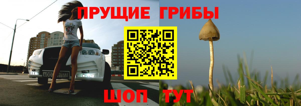 Псилоцибиновые грибы Magic Shrooms  Вход с VPN  Котлас 