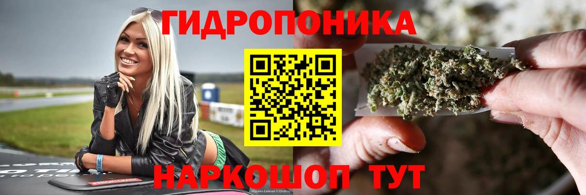 Бошки марихуана тримм Котлас